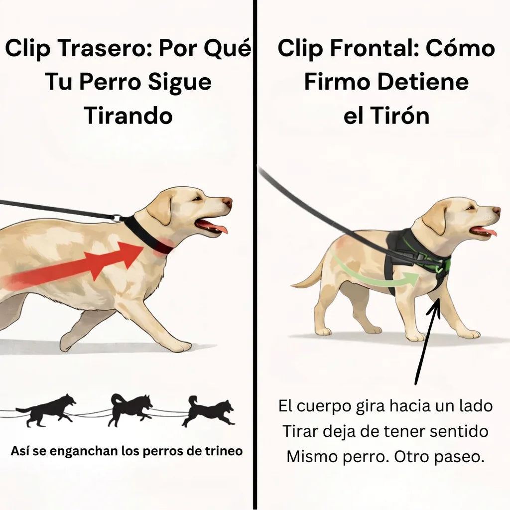 Firmo Arnés Antitirones para Perros